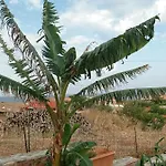 Zikos House *