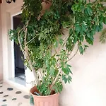 Zikos House
