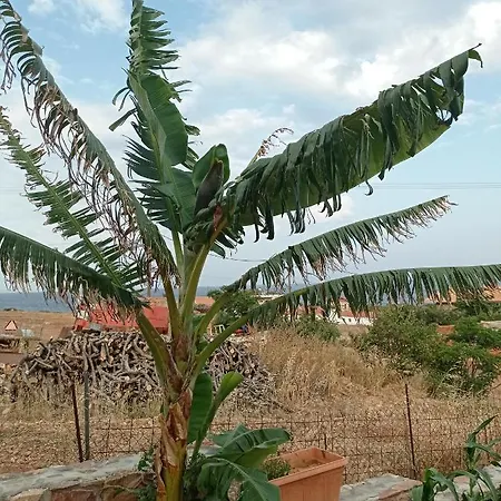 Zikos House *