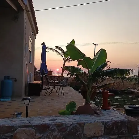 Hébergement de vacances Zikos House *
