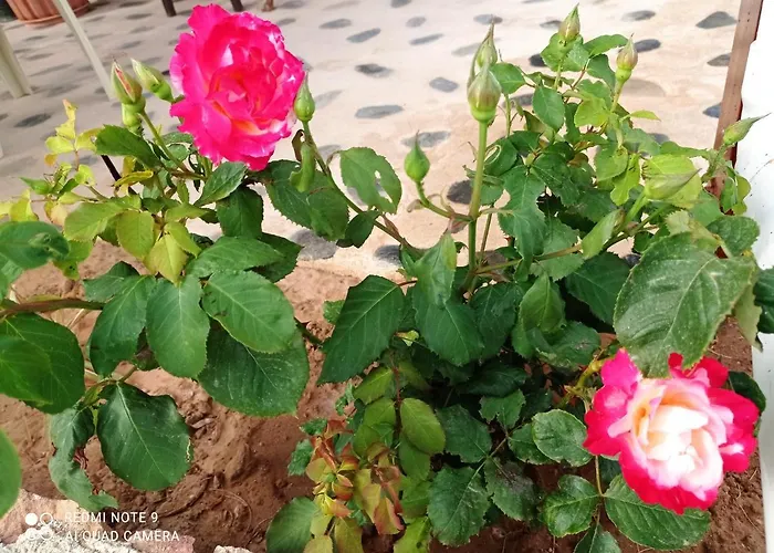 Сasa de vacaciones Zikos House