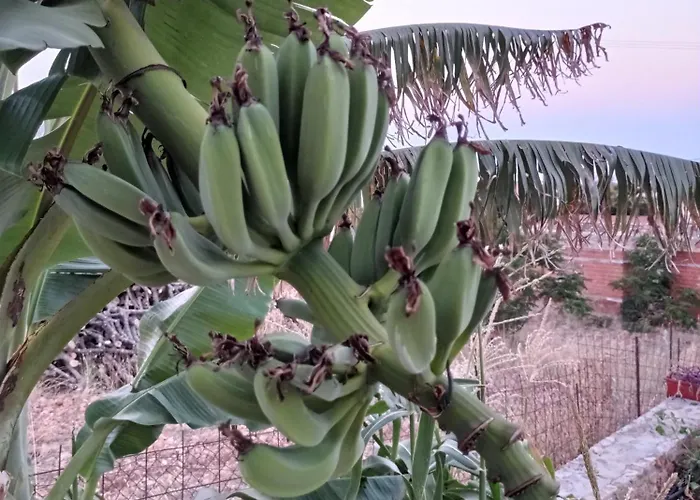 Zikos House מונמבאסיה